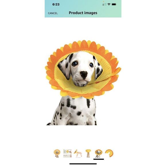 Alfie Pet - Noel Recovery Collar (for Dogs and Cats) - Pattern Sunflower, Size S - Picture 5 of 6